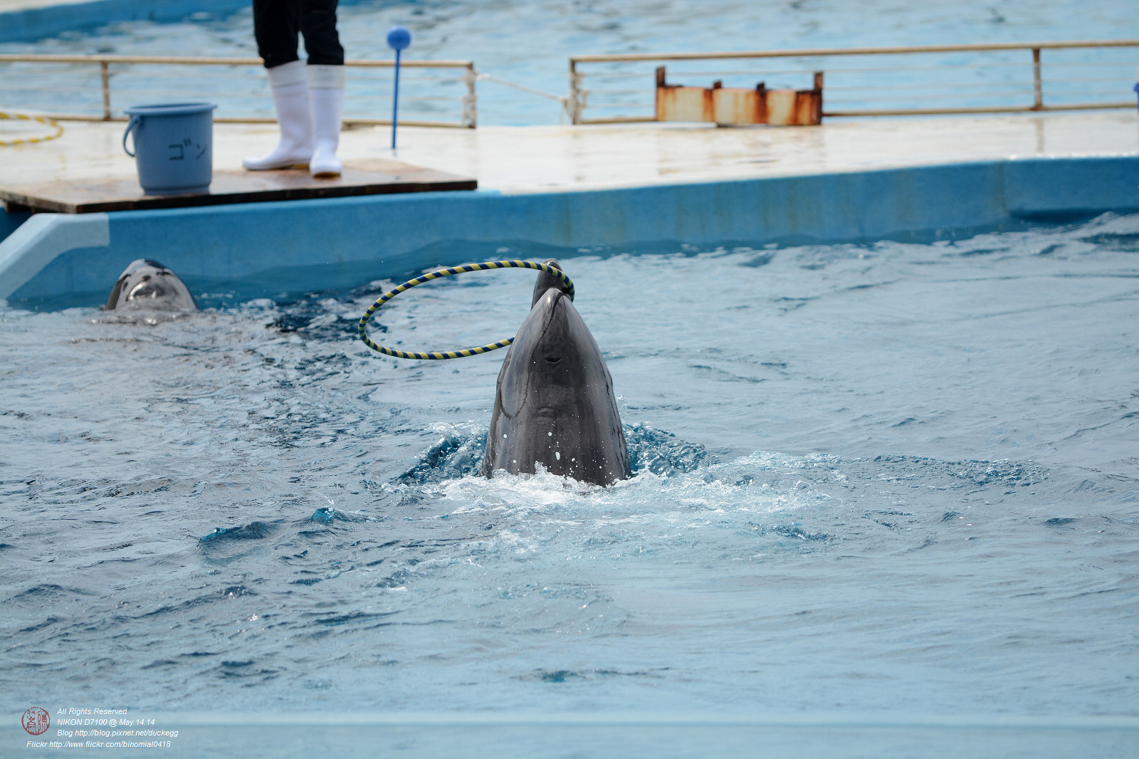 DSC_3056.jpg